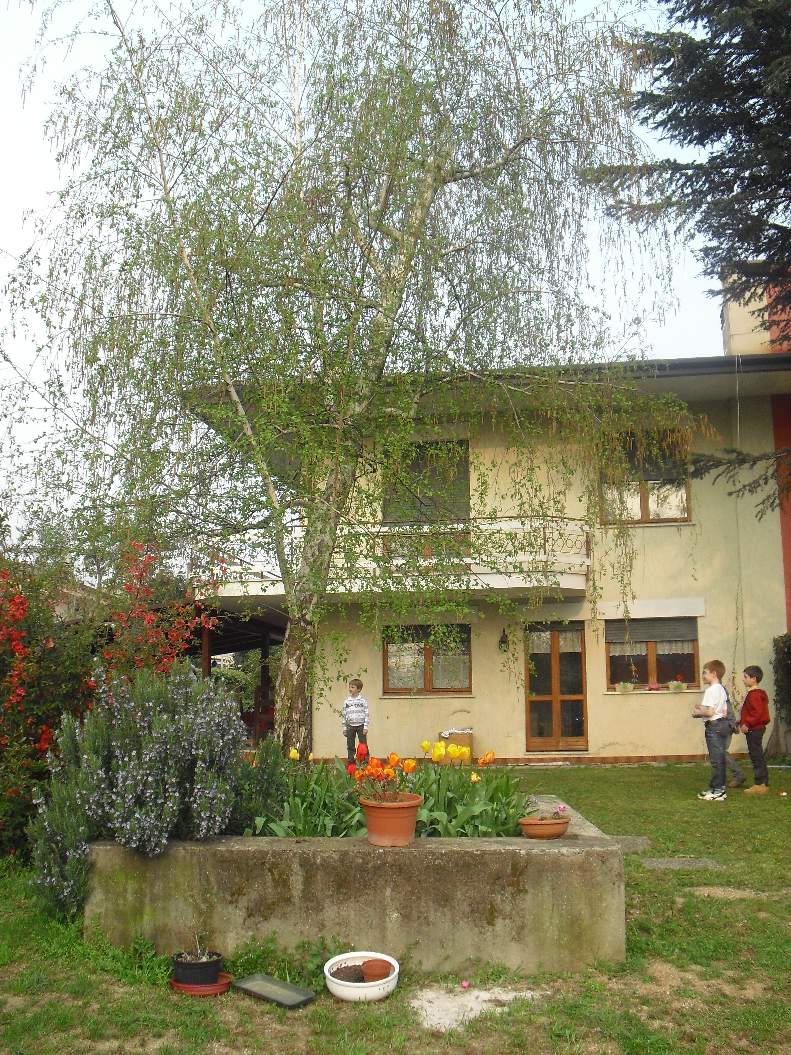 B&B The Garden-官方