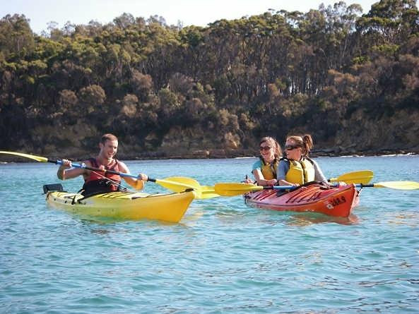 Bay and Beyond Sea Kayak Tours景点图片