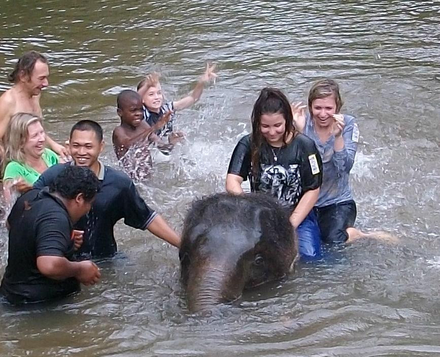 Kuala Gandah Elephant Sanctuary-彭亨必去景点