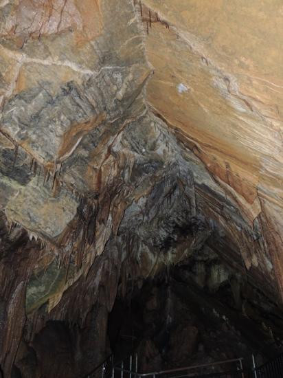Gunns Plains Caves-Gunns Plains必去景点