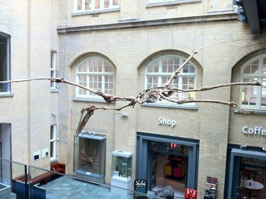 世界博物馆-利物浦必去景点