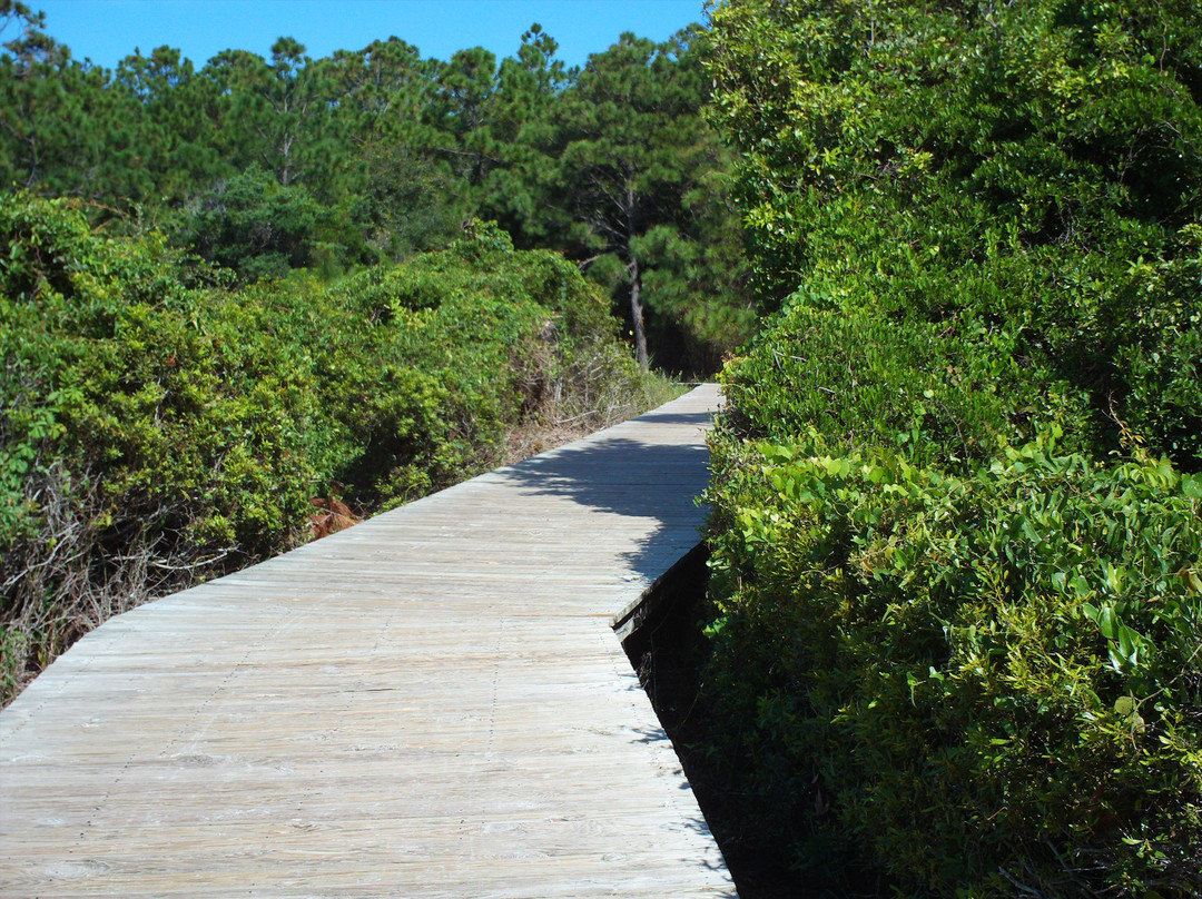 Kiawah Beachwalker Park景点图片
