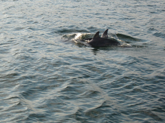 Destin's Original Sea Blaster-德斯廷必去景点