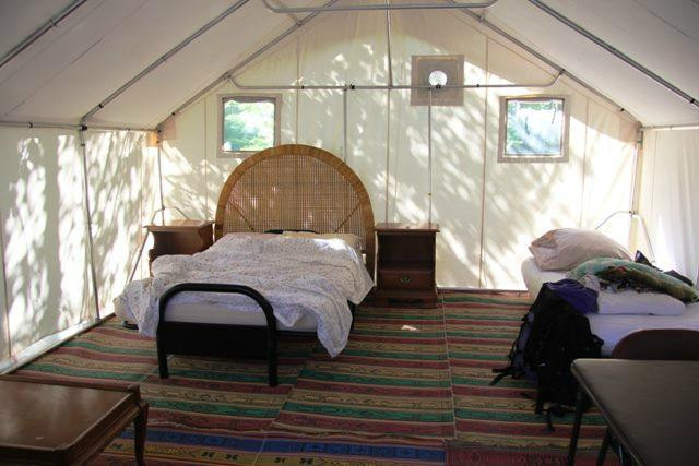 Nature's Harmony Ecolodge