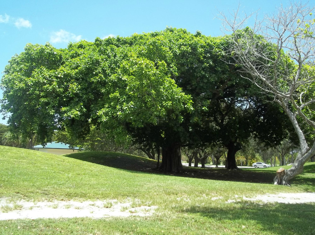 Topeekeegee Yugnee Park-好莱坞必去景点