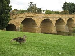 VIP Tours Tasmania - Tours-索雷尔必去景点