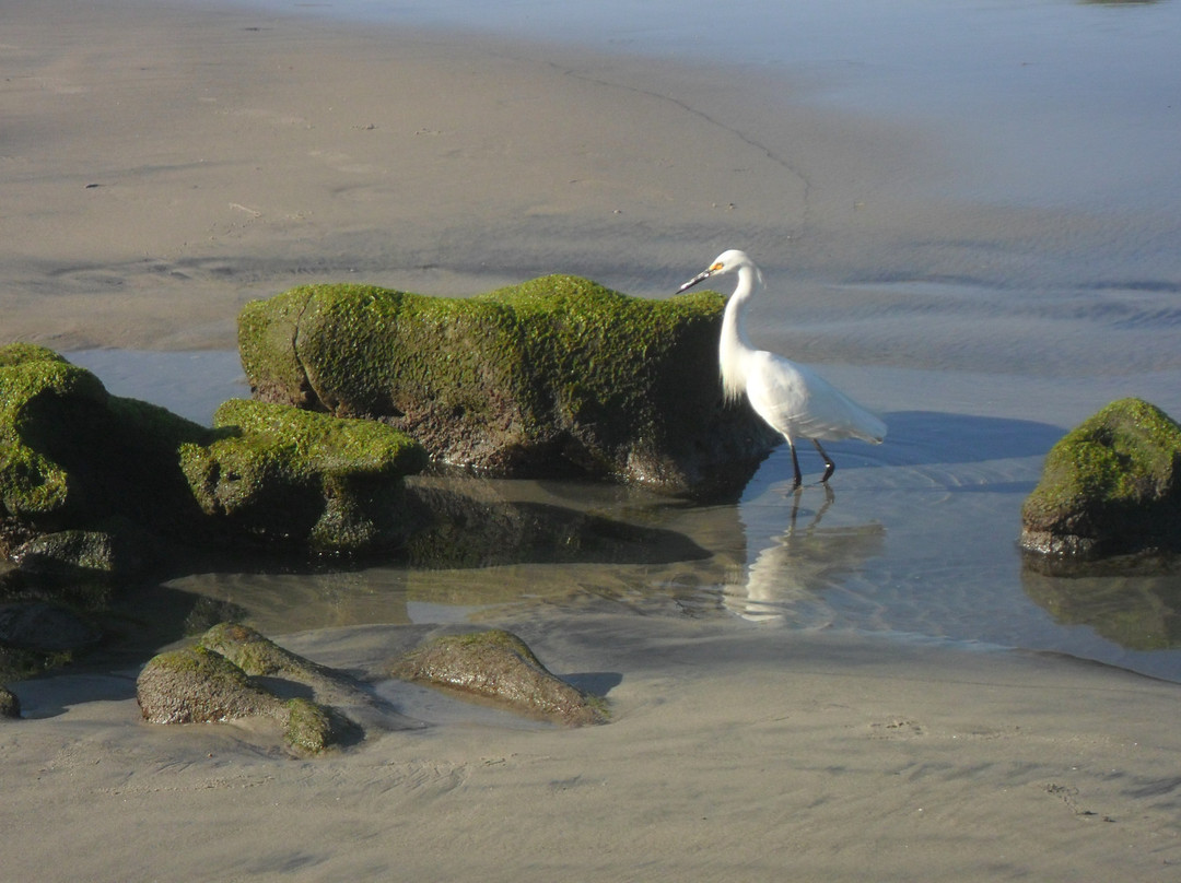 卡尔斯巴德州海滩-卡尔斯巴德必去景点