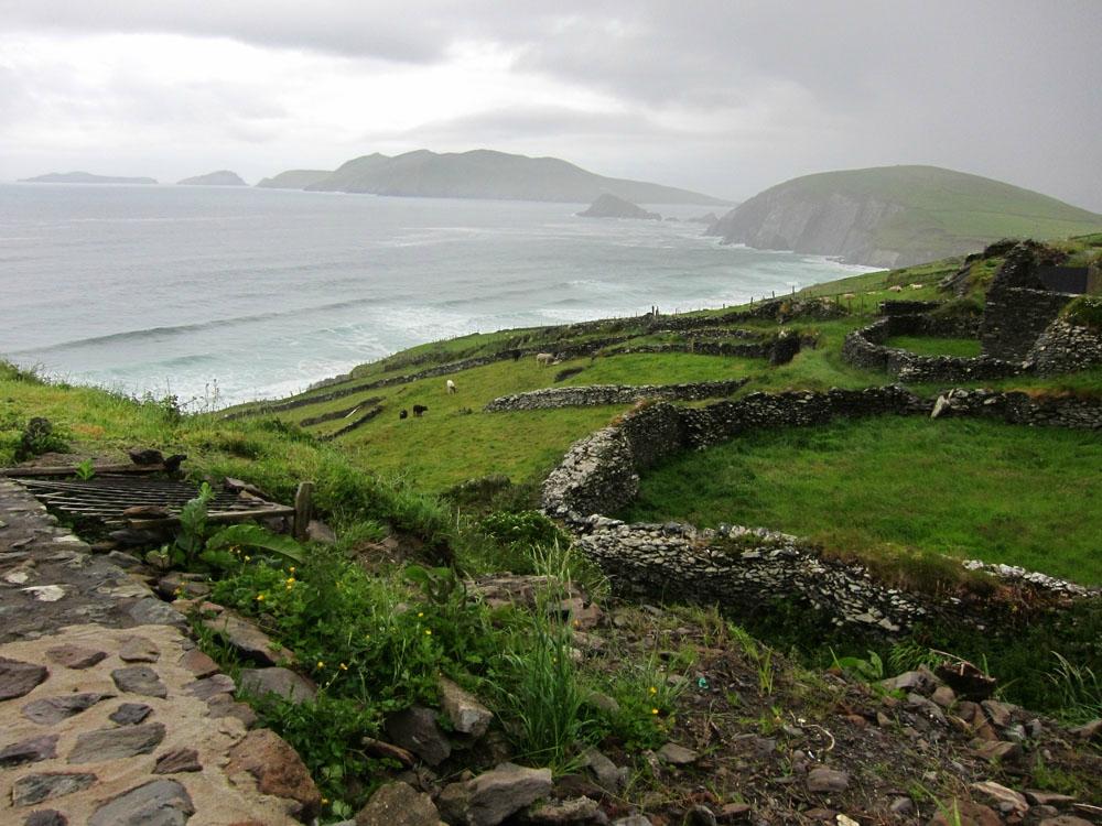 Slea Head Farm B & B-酒店景观
