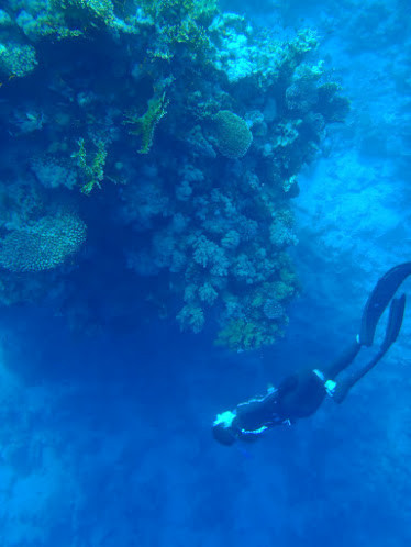 Singapore Freedivers-新加坡必去景点