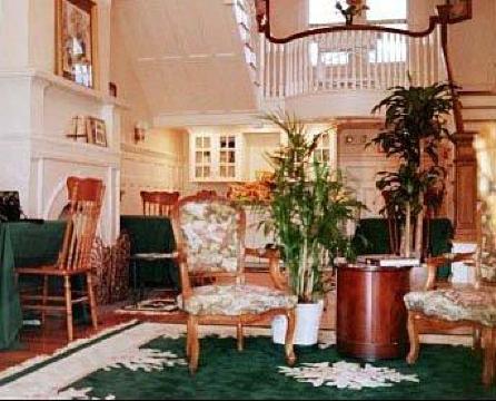 Cedars & Beeches-官方