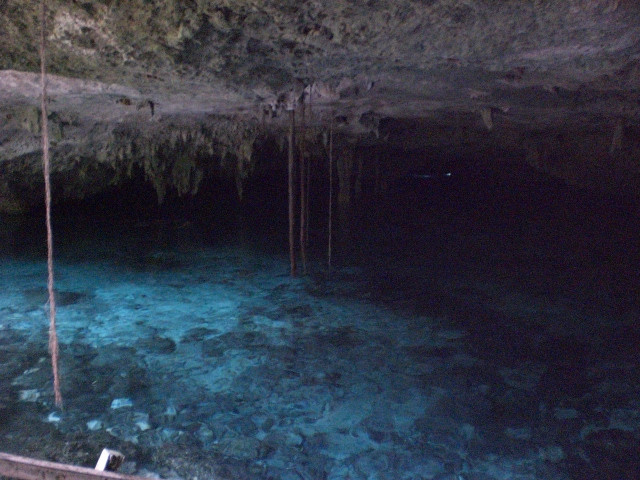 Dos Ojos Scuba Dive Shop-艾库玛尔必去景点