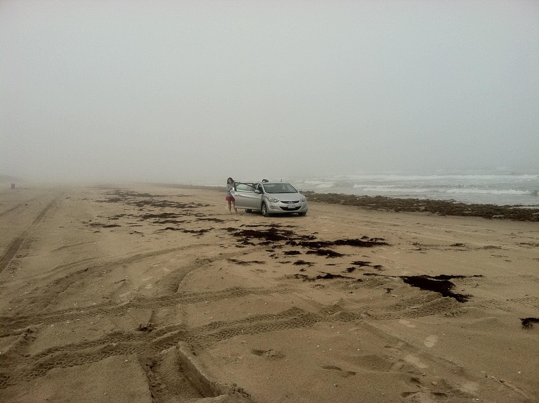 Andy Bowie Park-南帕诸岛必去景点