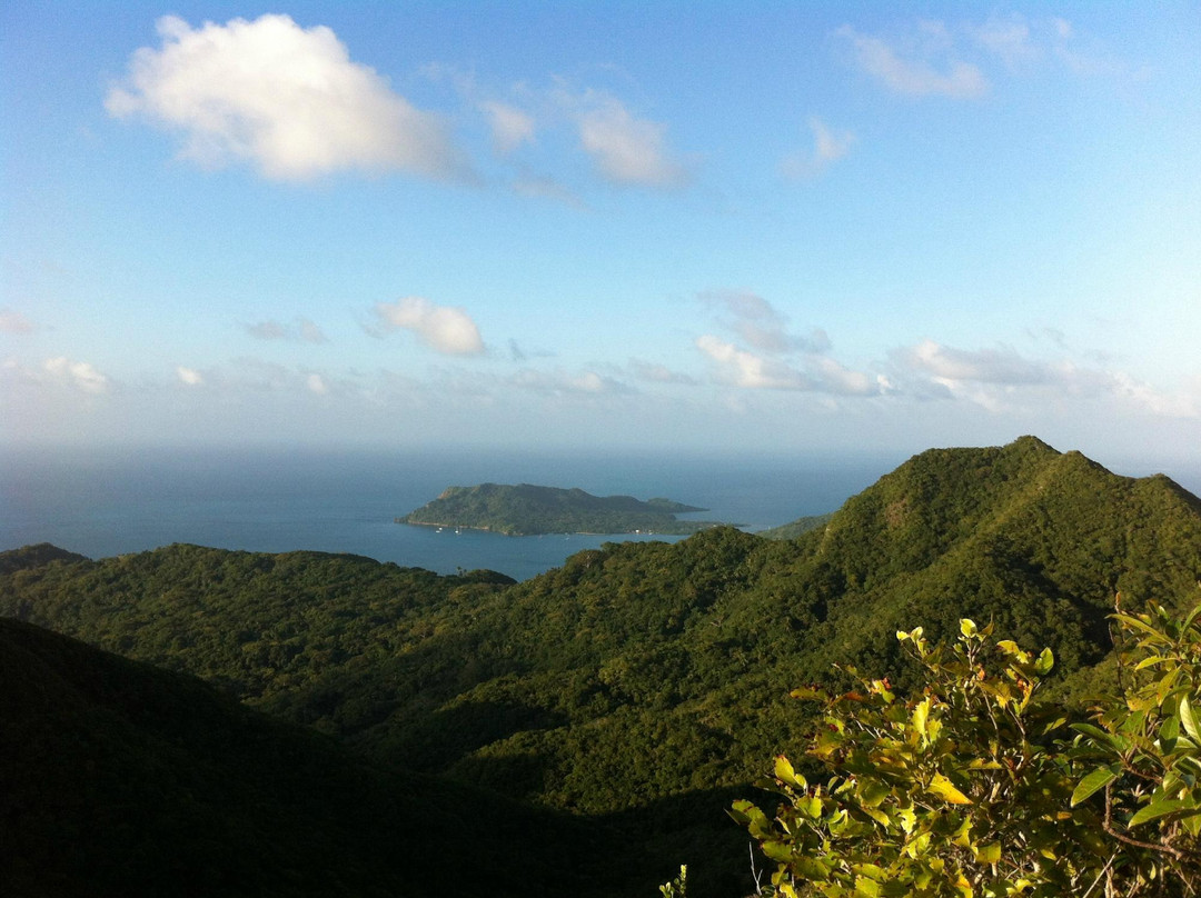 The Peak Forestry Reserve景点图片