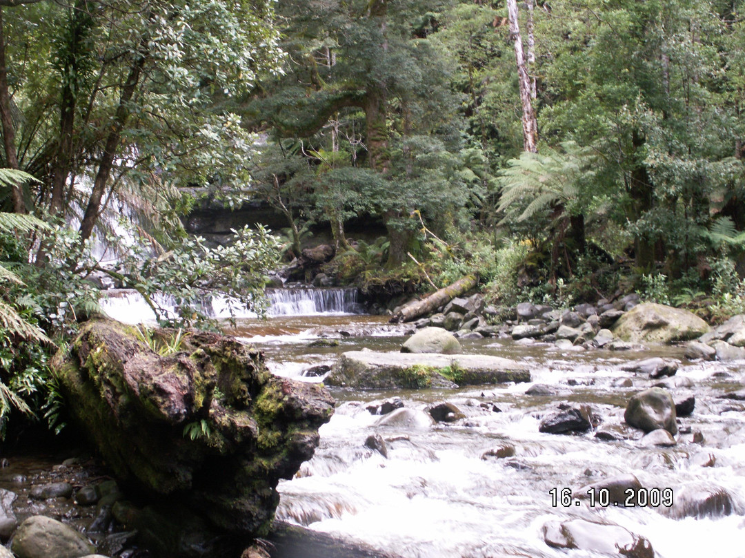 Liffey Falls-德洛兰恩必去景点