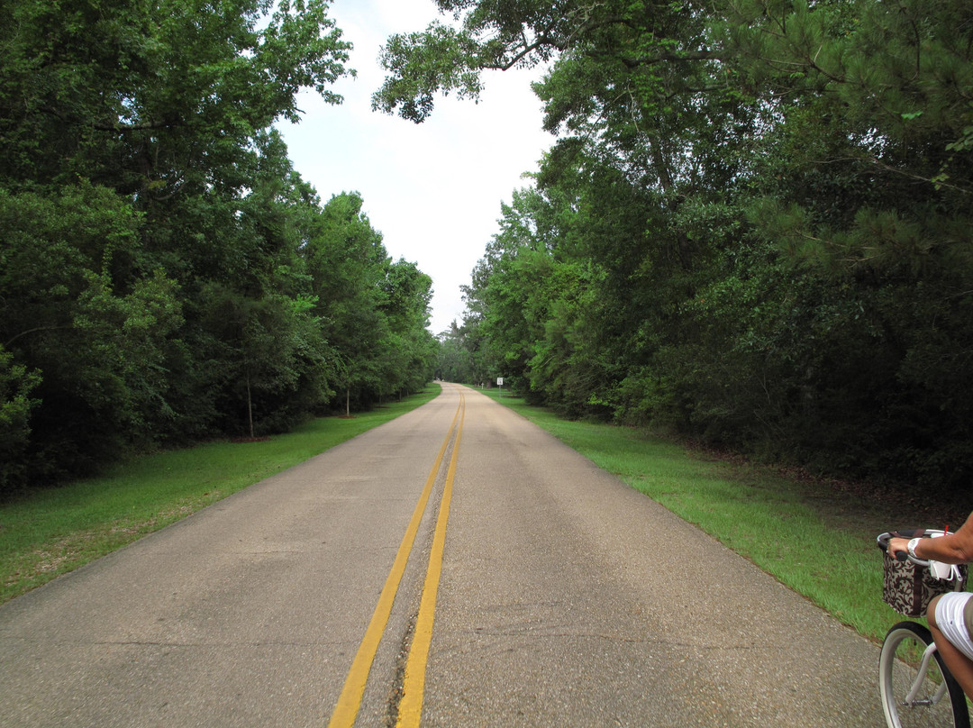 Tammany Trace-Abita Springs必去景点