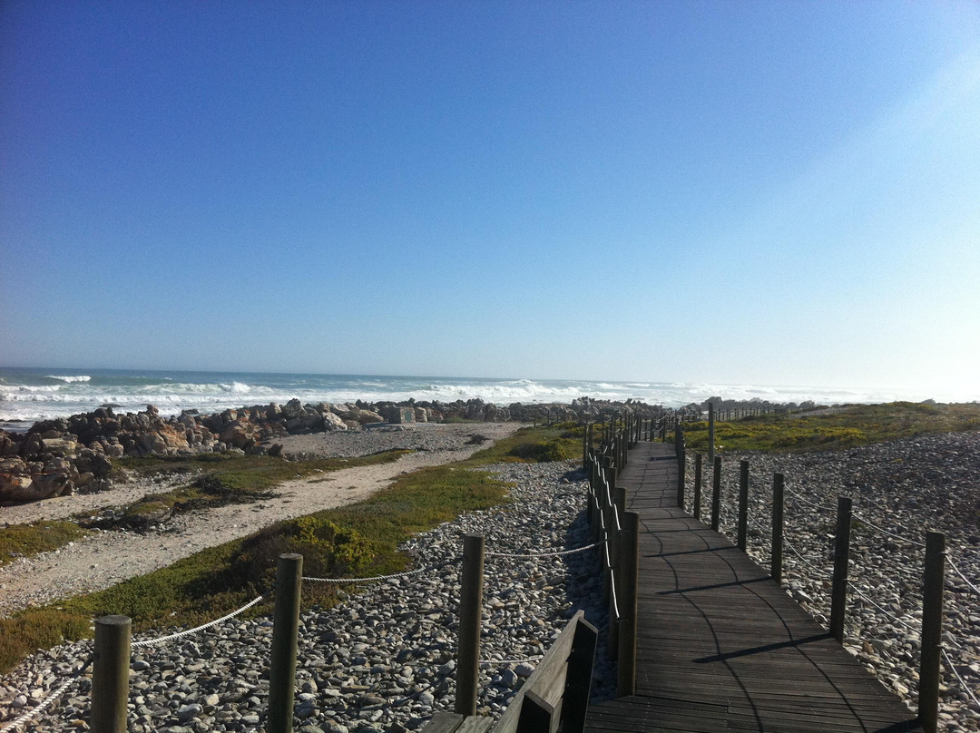 Cape Agulhas - Southernmost Tip of Africa景点图片