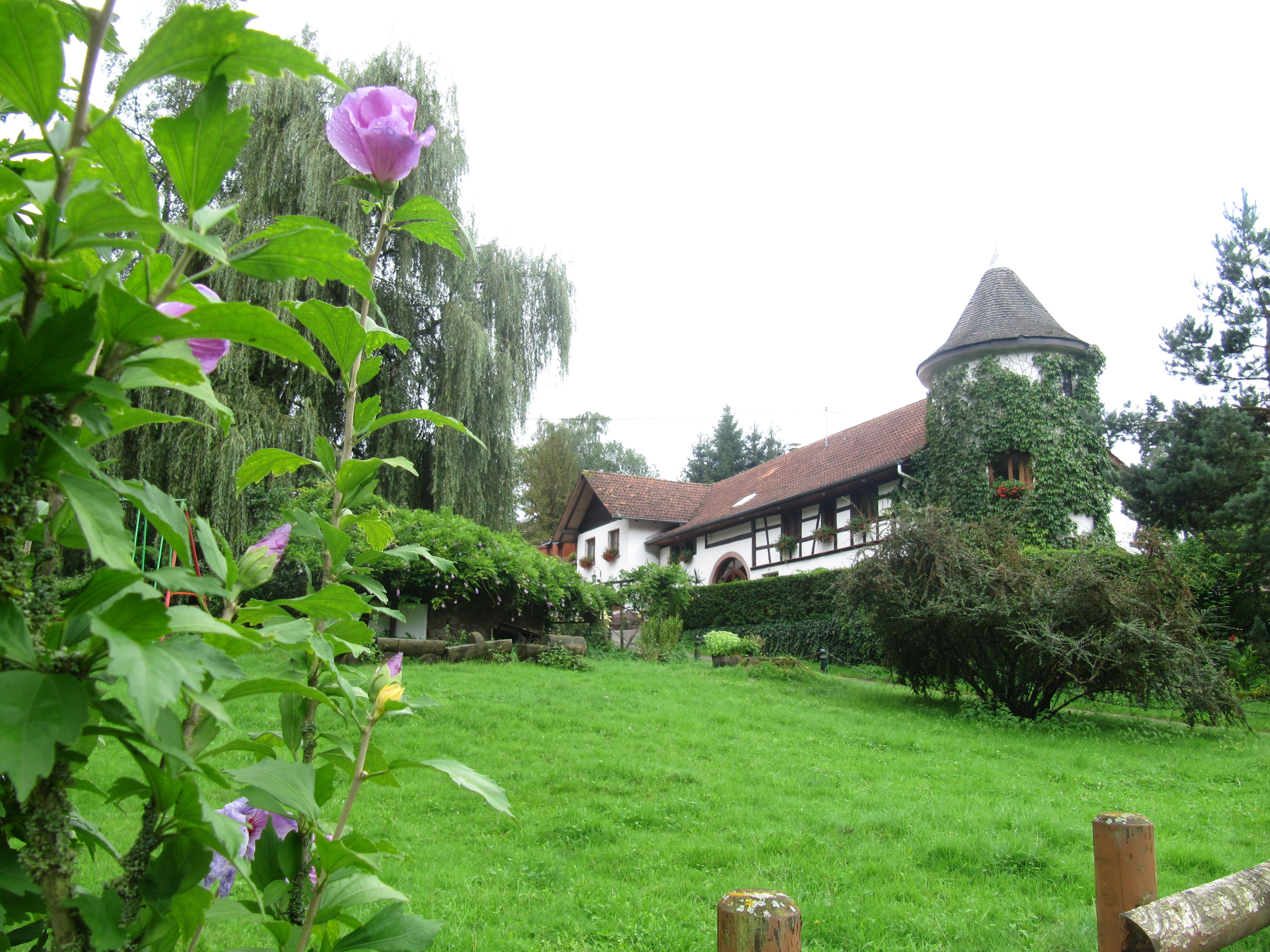 Domaine d'Estary-客卧