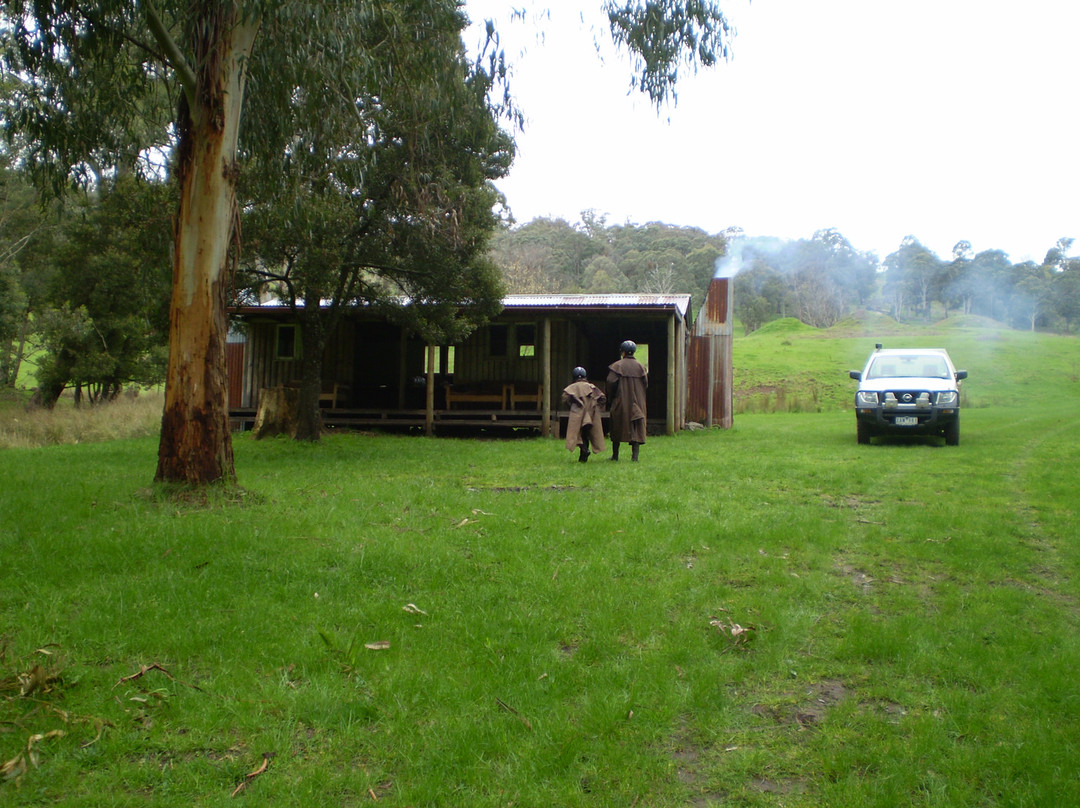 Watson's Mountain Country Trail Rides - Day Tours-曼斯菲尔德必去景点