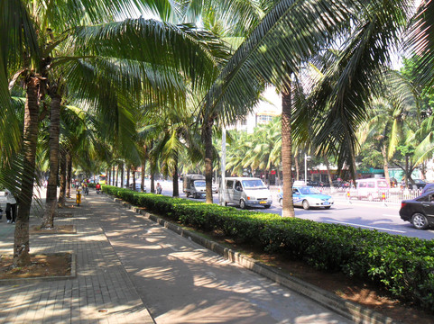 海口五指山国际温泉酒店（骑楼老街日月广场免税店）主图