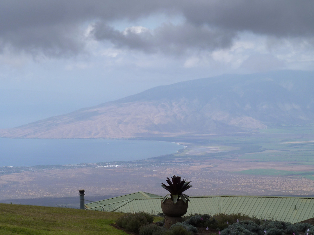 Maui Country Farm Tours-马卡瓦必去景点
