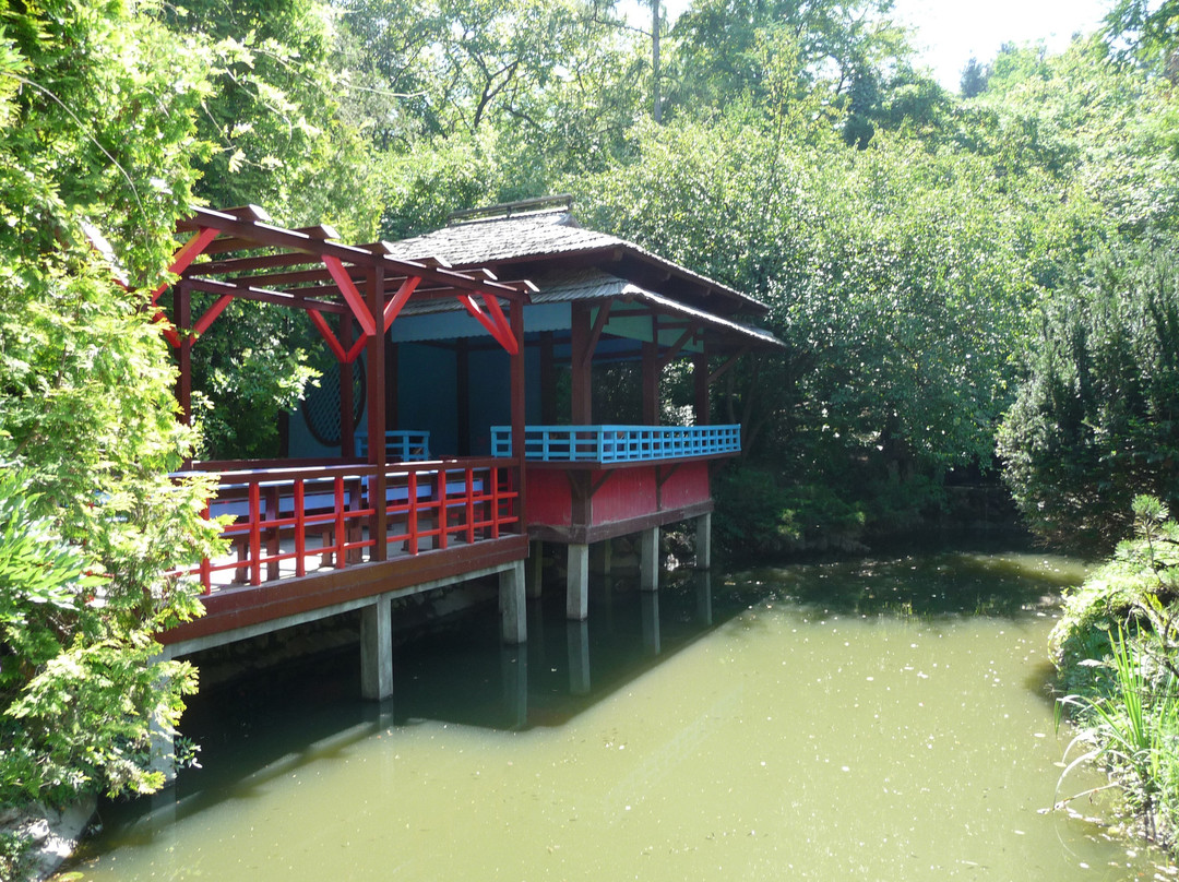 Grădina Botanică "Alexandru Borza"景点图片