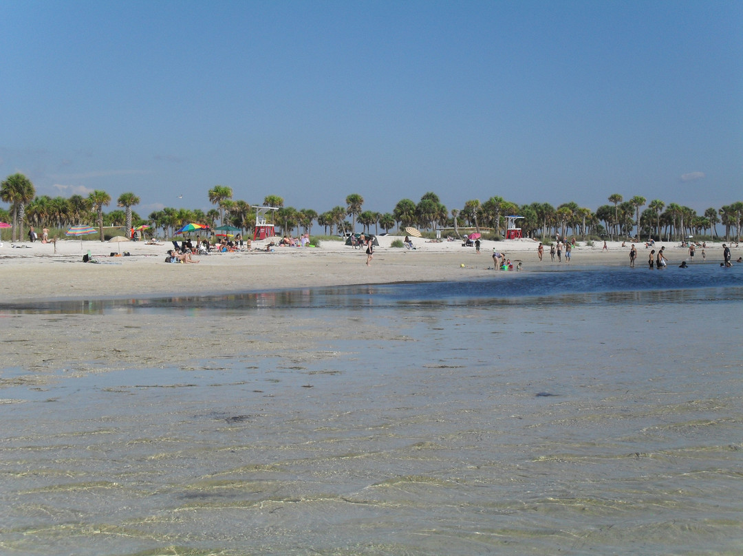 Fred Howard Park-塔彭斯普林斯必去景点