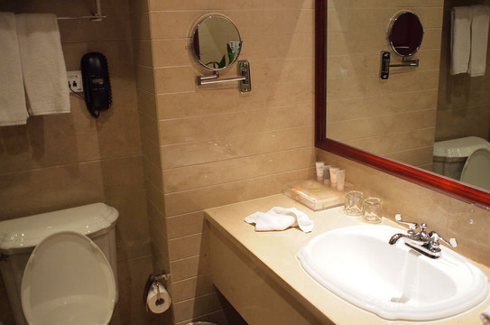 宝隆泰晤士假日酒店主图