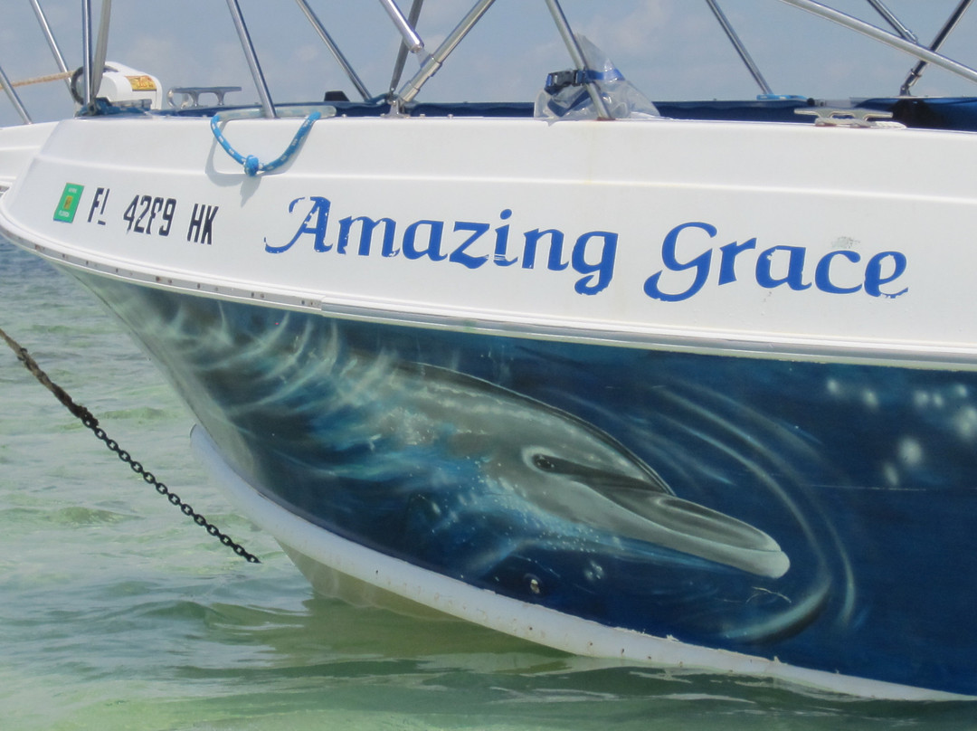 Wild About Dolphins-基韦斯特必去景点