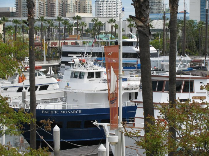 太平洋水族馆-长滩必去景点