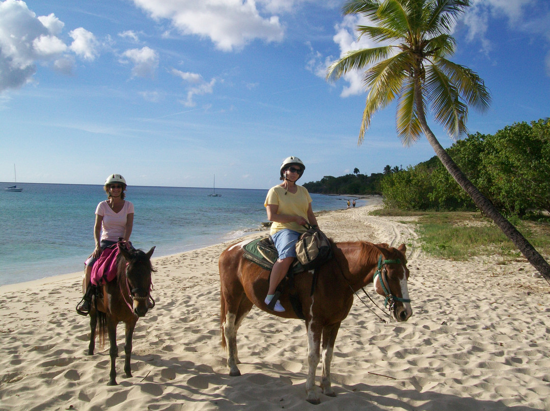 Paul and Jill's Equestrian Stables-圣克鲁斯必去景点