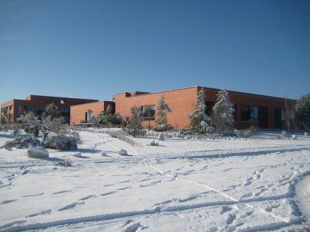 马德里卡尼亚达新镇旅游攻略图片