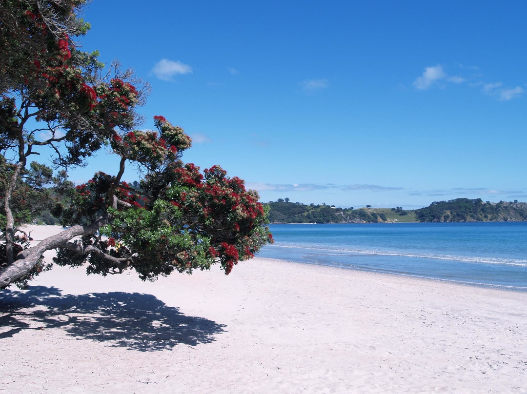 Ananda Tours-怀系奇岛必去景点