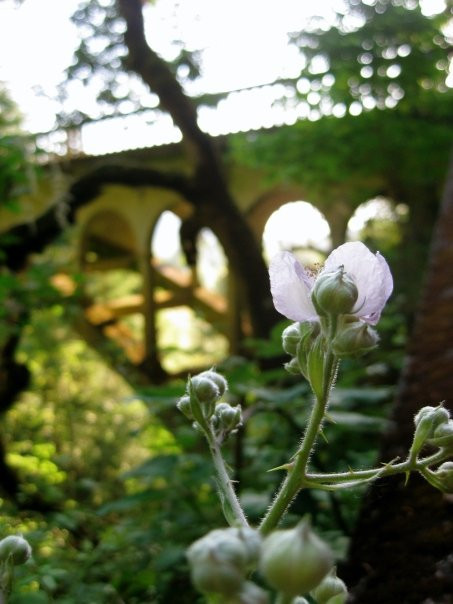 Shepperd's Dell State Natural Area-劳特代尔必去景点