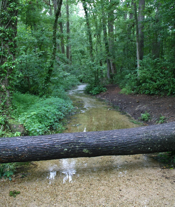 Red Clay State Historic Park景点图片
