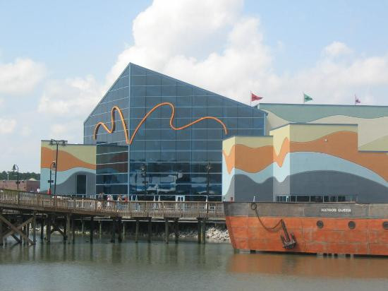 里普利水族管-美特尔海滩必去景点