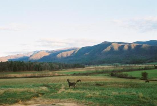 Cades Cove-大雾山国家公园必去景点