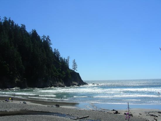 Oswald West State Park-坎农比奇必去景点