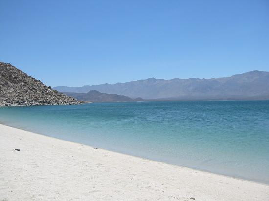 Bahia de Los Angeles景点图片