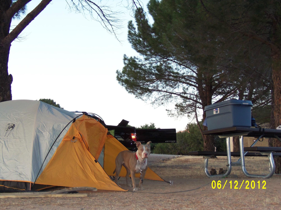 Mojave River Forks Campground