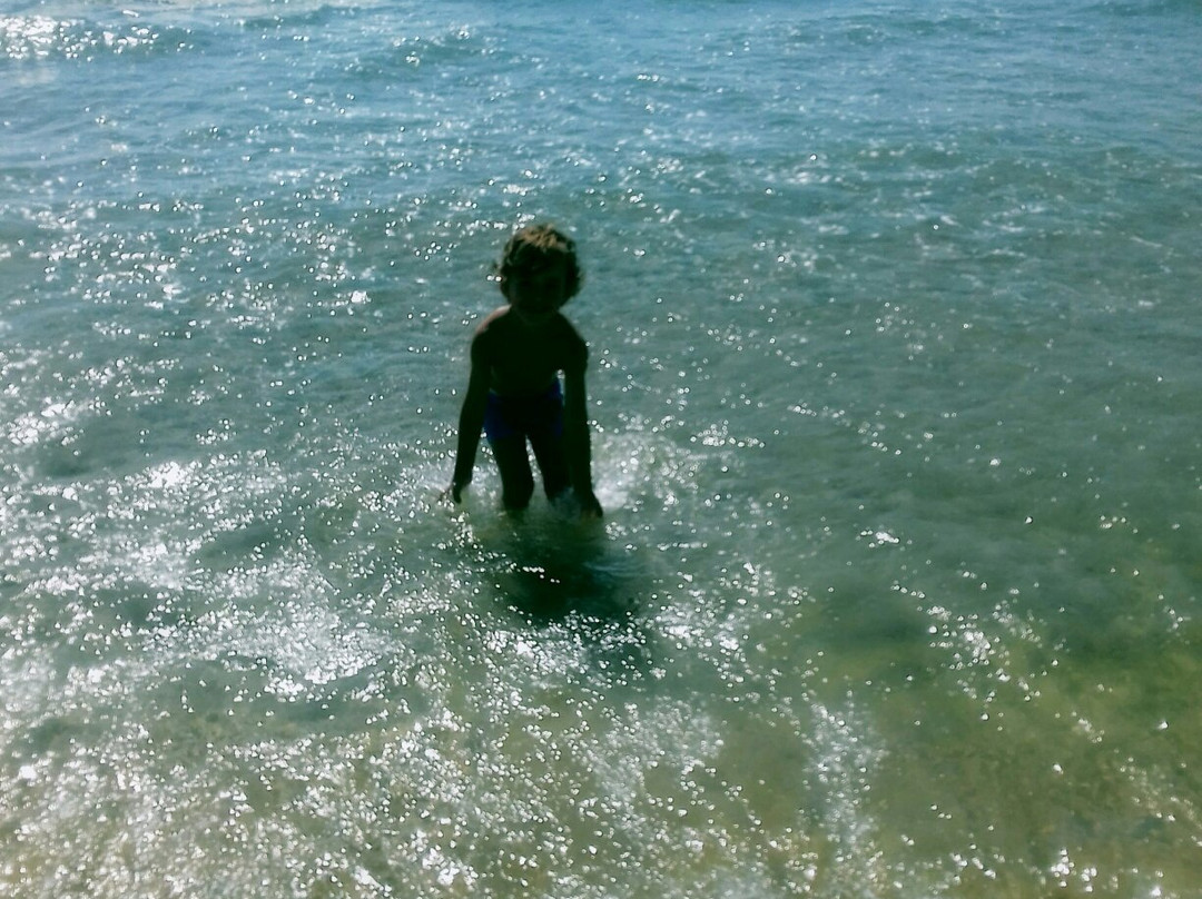 Plage de la Roquille景点图片