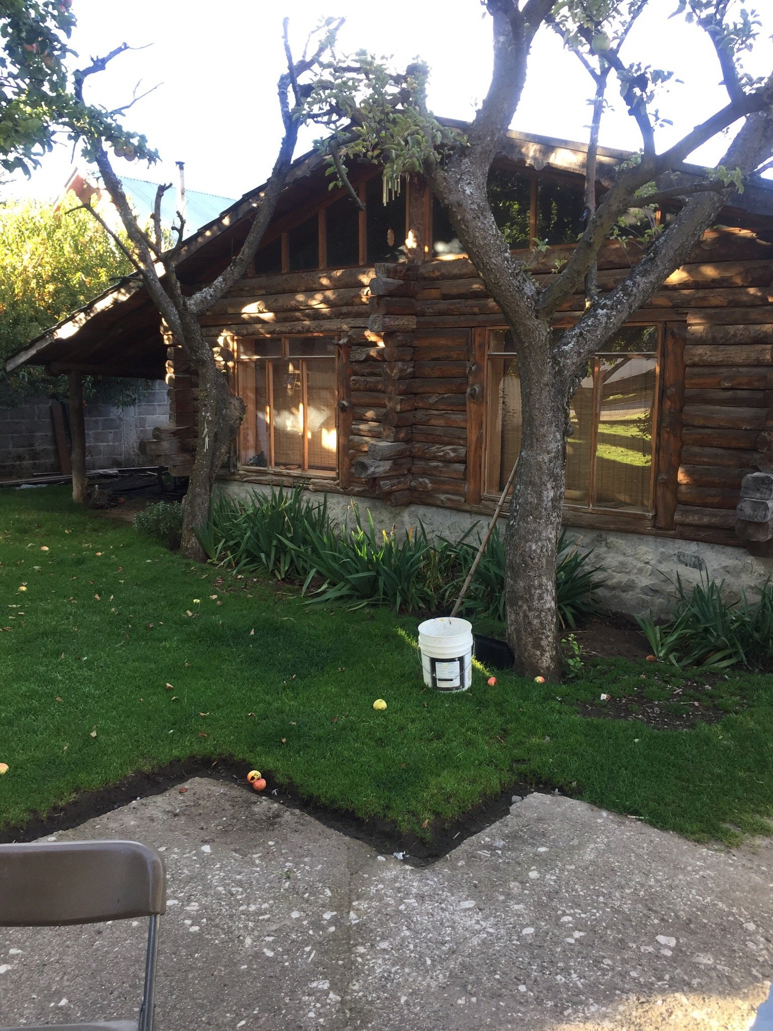 Adolfo's B&B-官方
