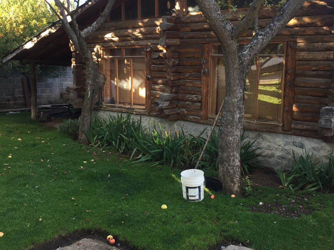 Chaiten酒店住宿-Adolfo's B&B