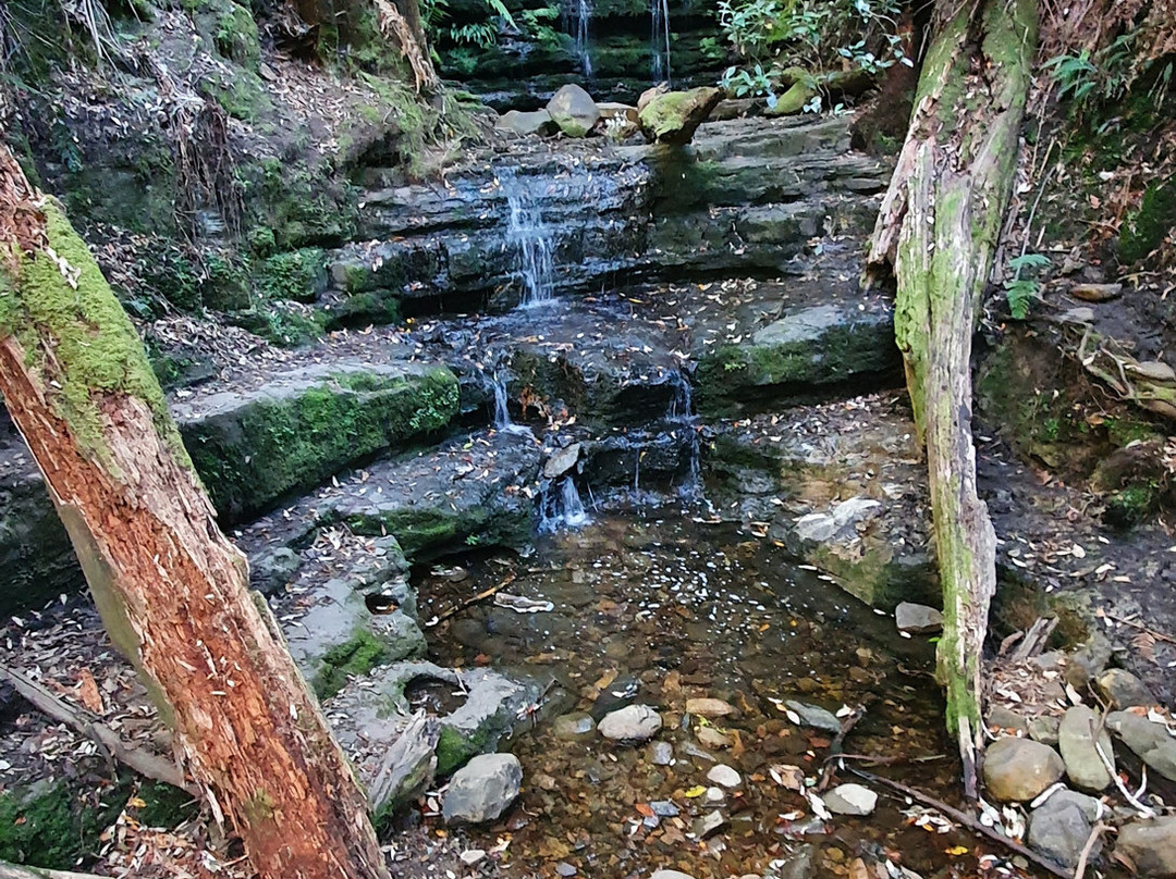 O'Grady's Falls Aka Oates Falls