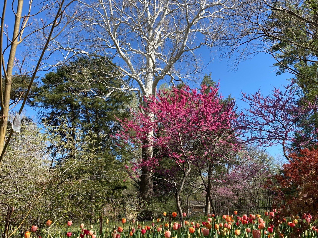 Bartlett Arboretum-Belle Plaine必去景点
