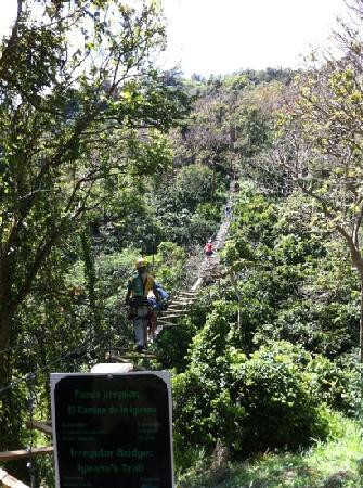 Toro Verde-Orocovis必去景点