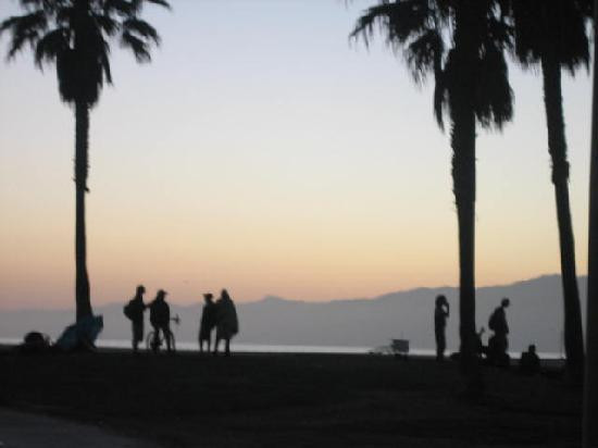 威尼斯海滩-洛杉矶必去景点