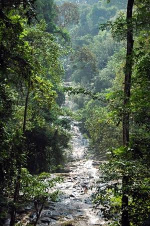邓普勒公园-万挠必去景点