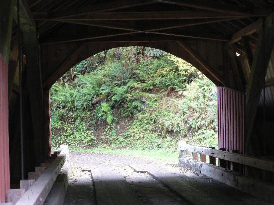 North Fork Yachats Covered Bridge-亚查茨必去景点