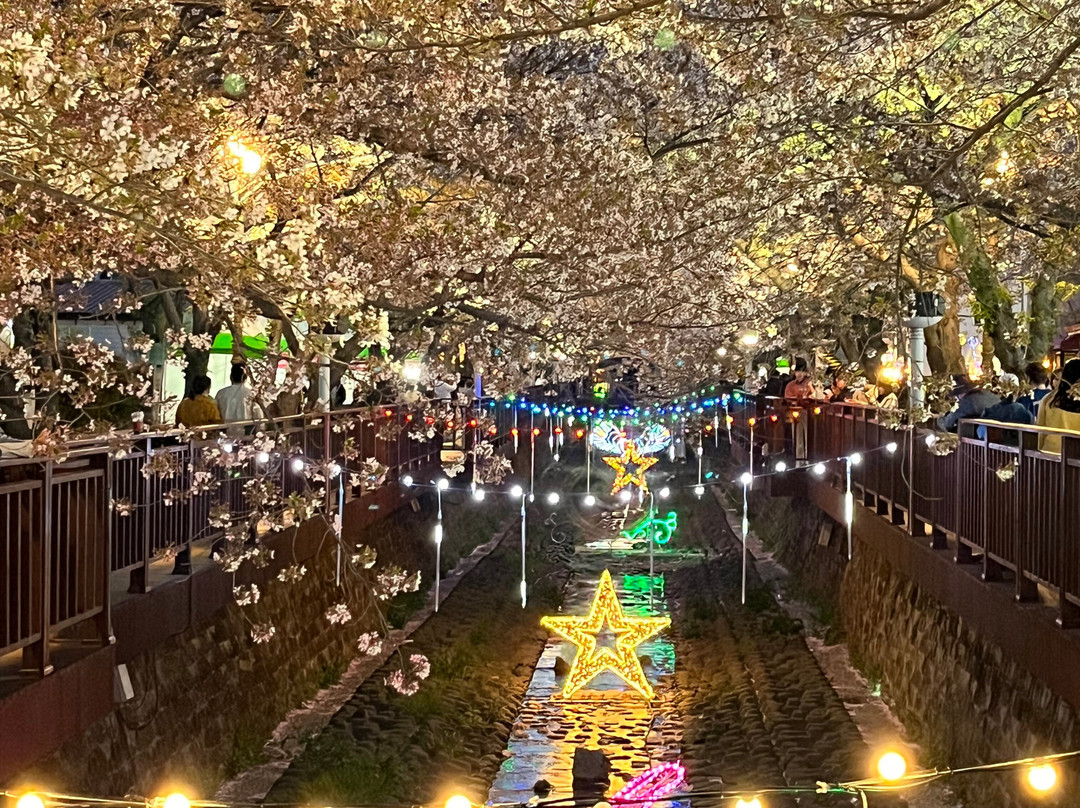 Yeojwacheon Romance Bridge-昌原市必去景点