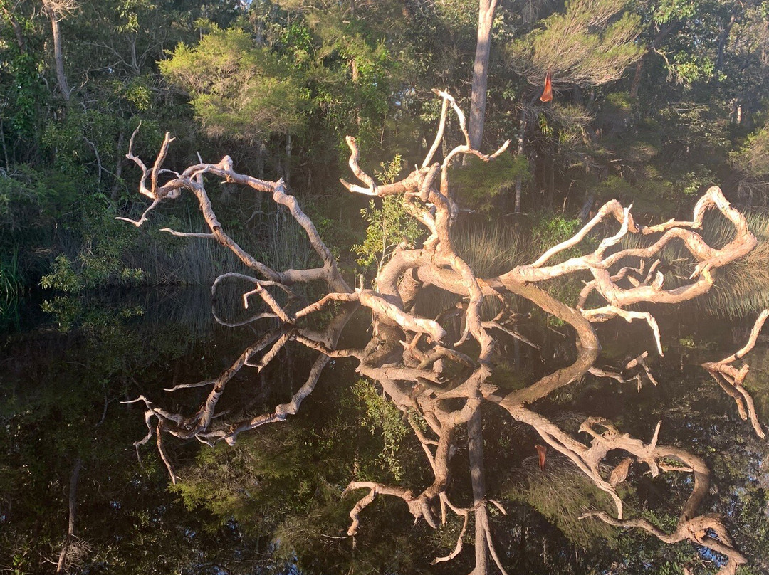 Everglades景点图片
